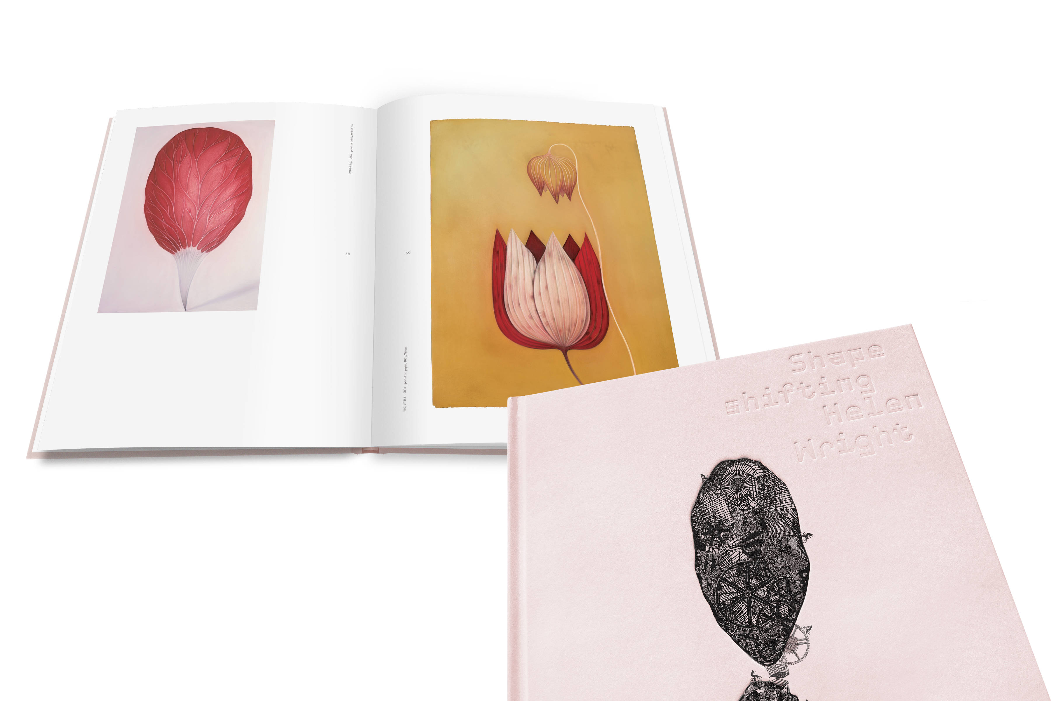 Helen Wright : Shapeshifting