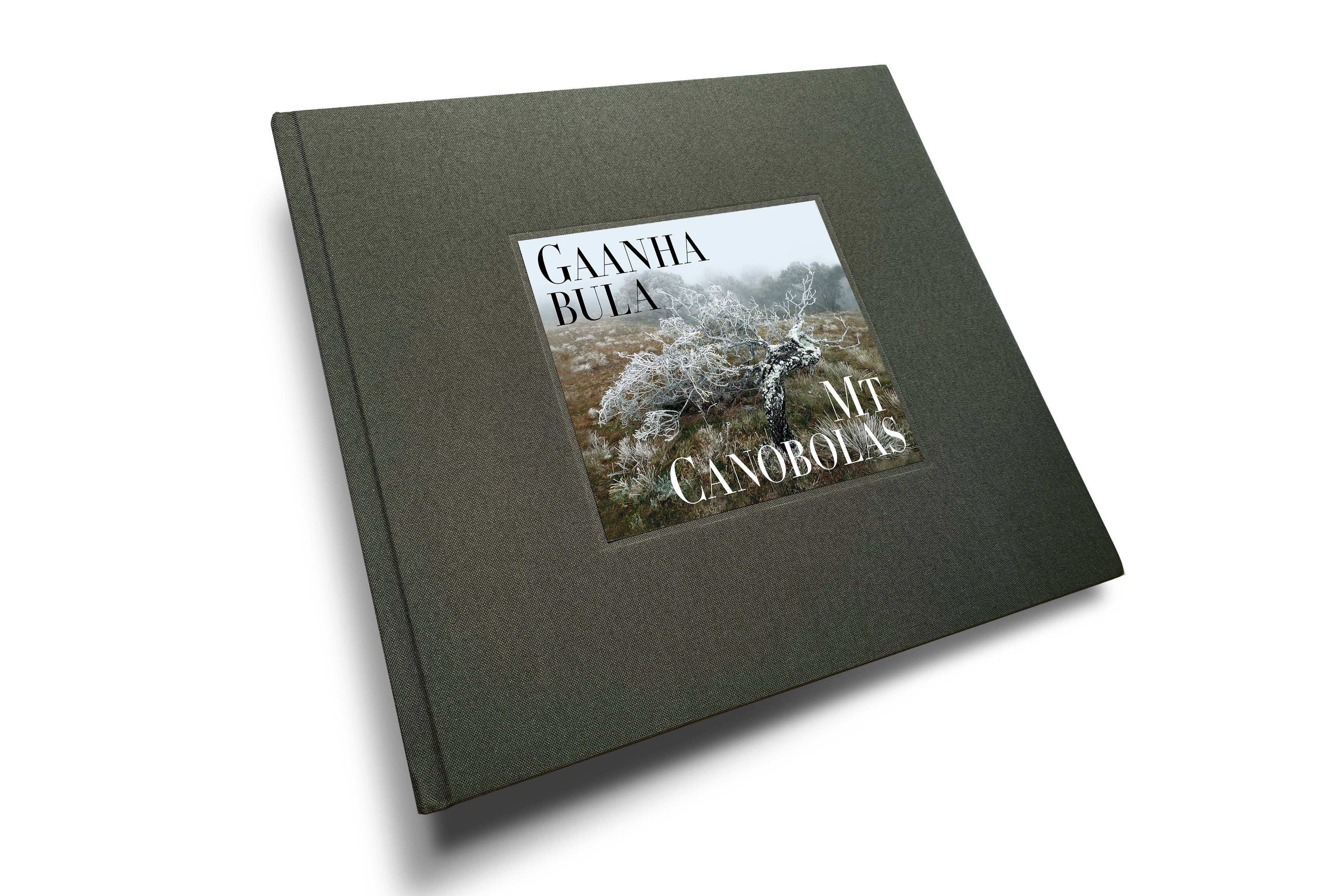 Allan Starr : Gaanha Bula / Mt Canobolas