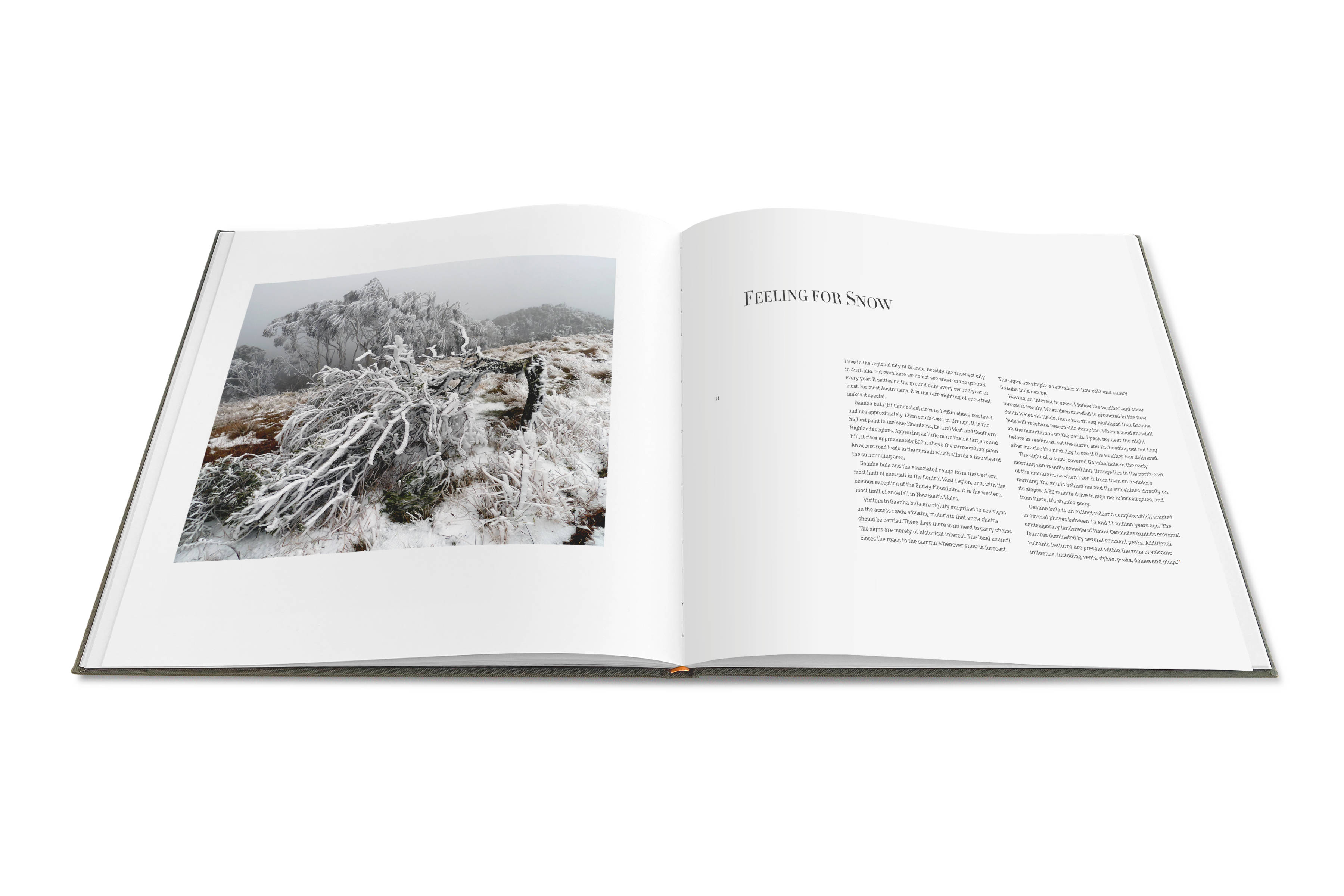 Allan Starr : Gaanha Bula / Mt Canobolas