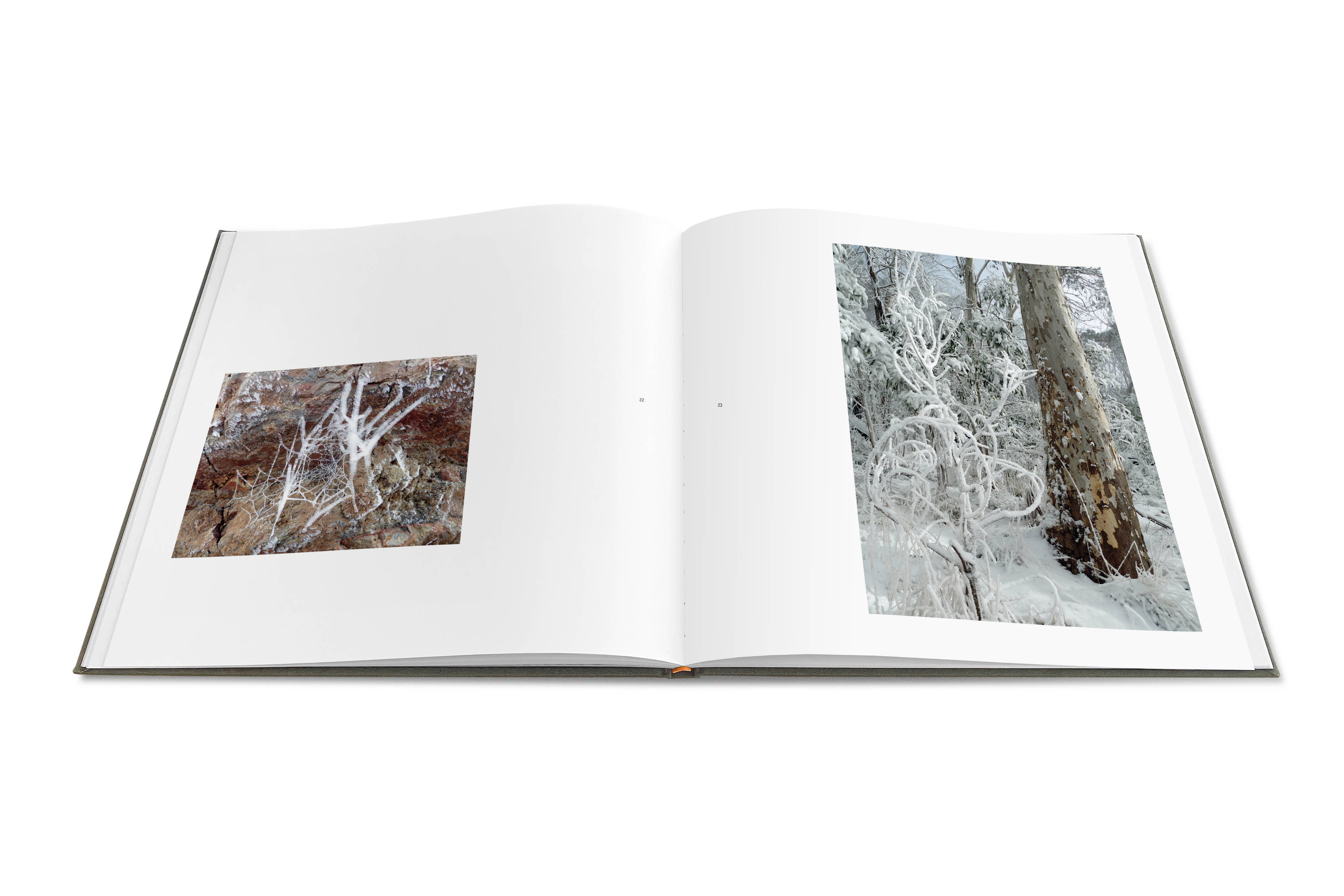 Allan Starr : Gaanha Bula / Mt Canobolas