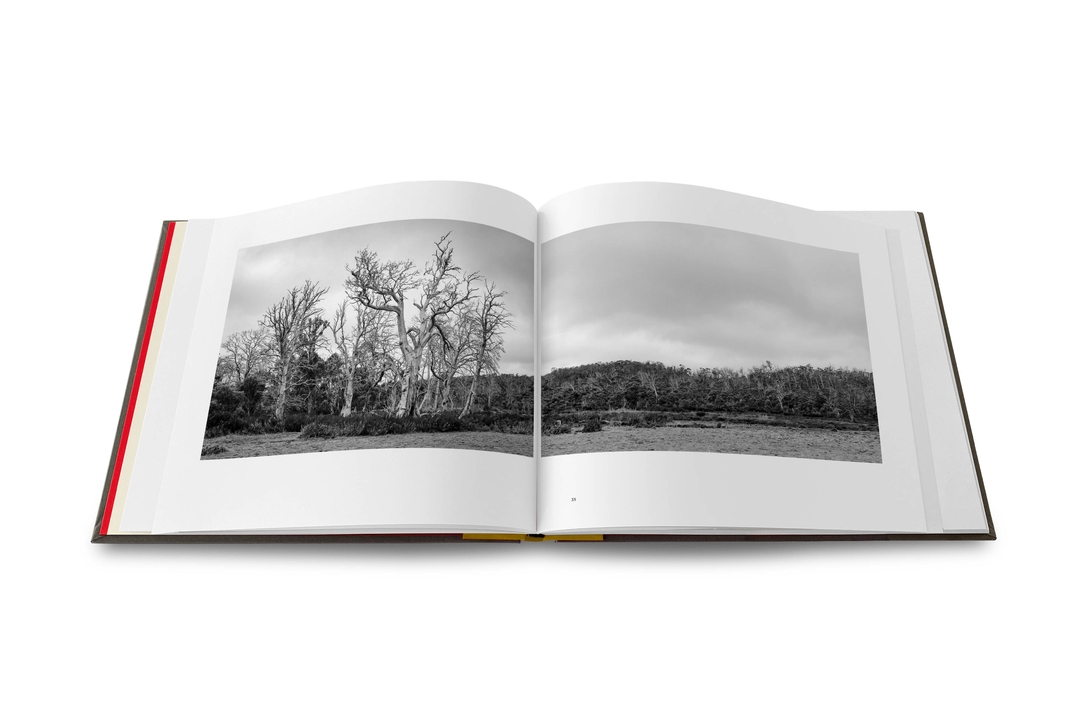 Ian Terry : Uninnocent Landscapes