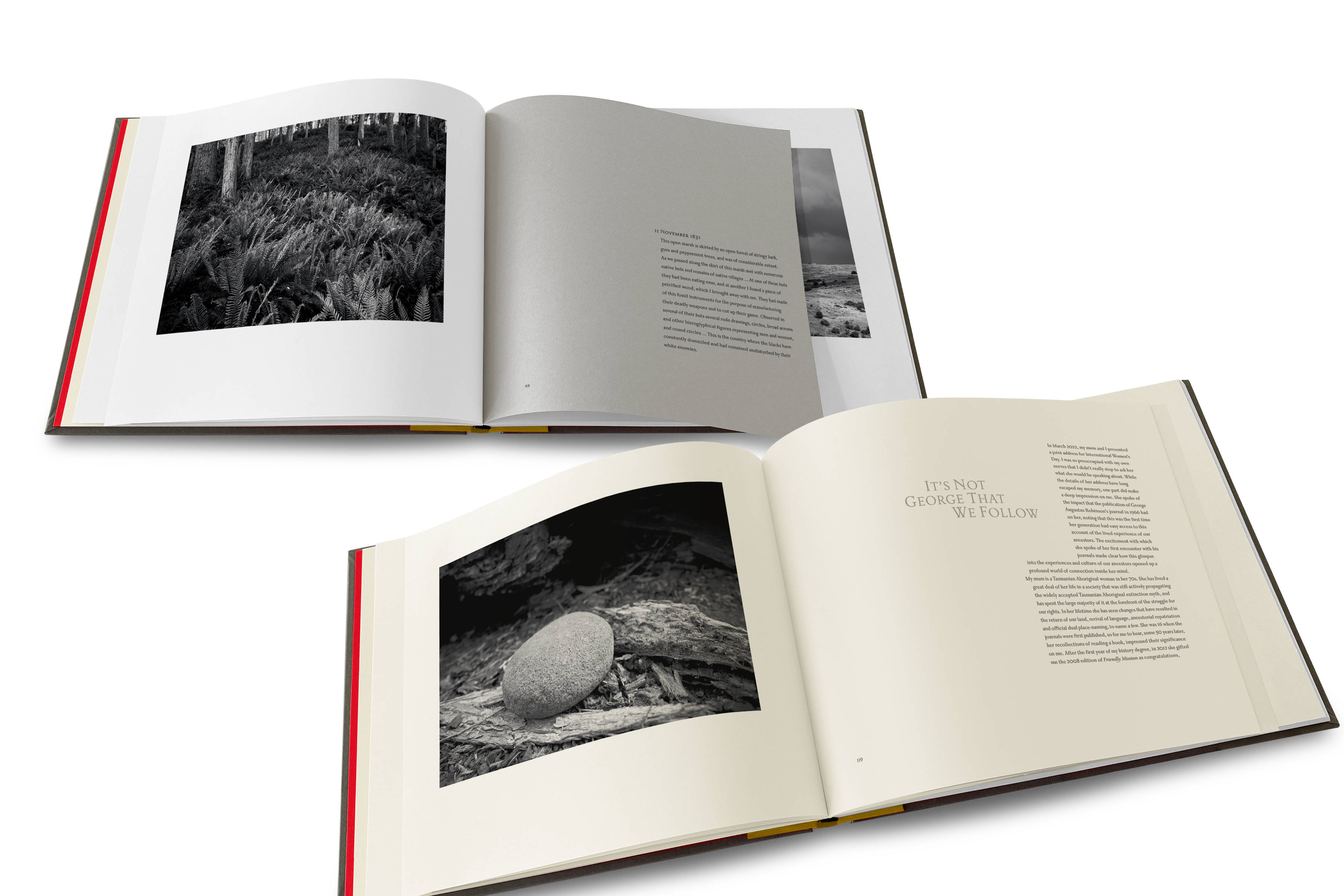 Ian Terry : Uninnocent Landscapes