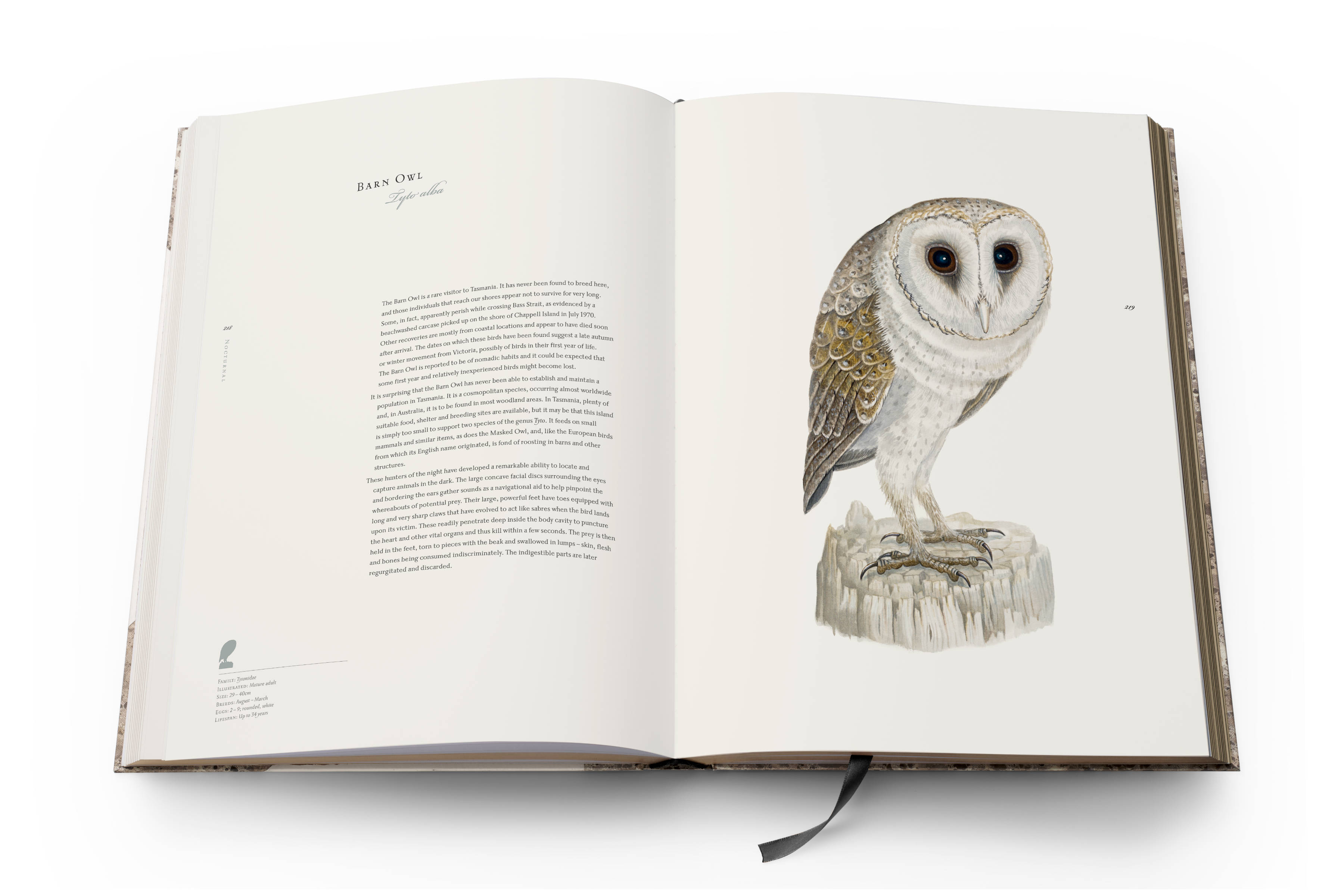 Susan Lester : Birds of Tasmania